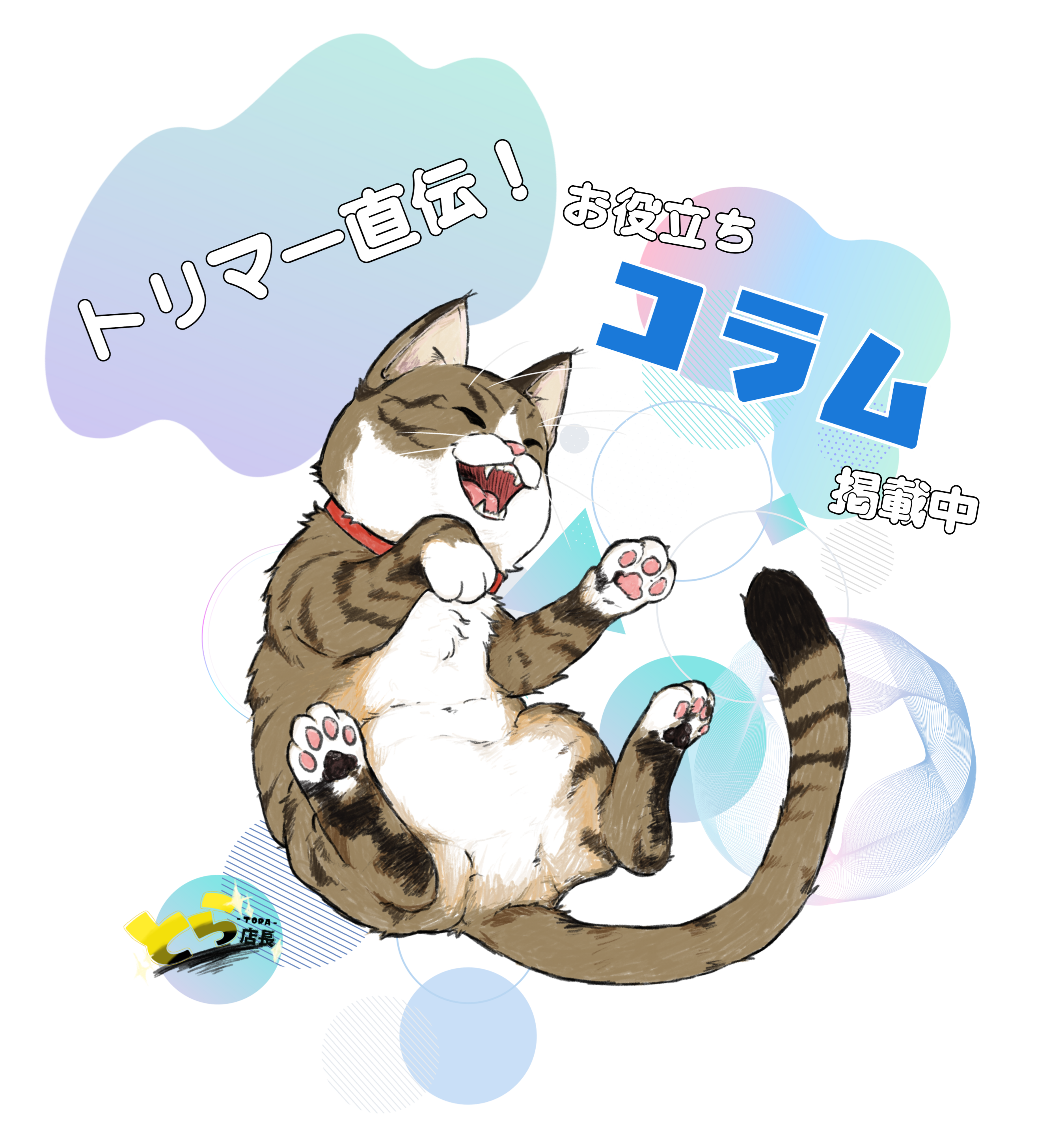 トリマー直伝！お役立ちコラム掲載中